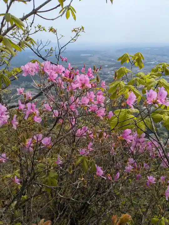 妙義神社 奥の院(群馬県)