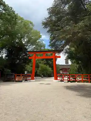賀茂御祖神社(下鴨神社)の鳥居