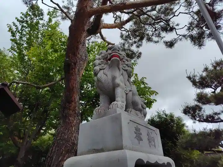 北見神社の狛犬
