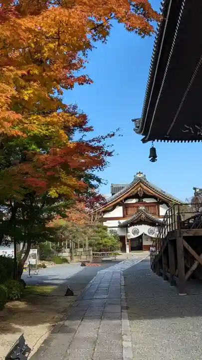 妙顯寺(妙顕寺)(京都府)