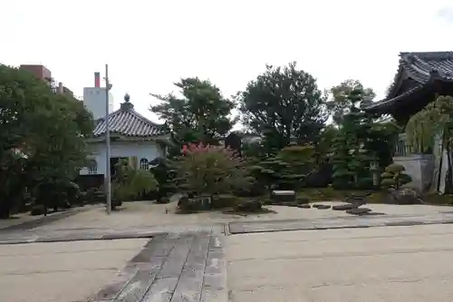 養泉寺の庭園