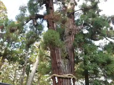 大神神社(奈良県)