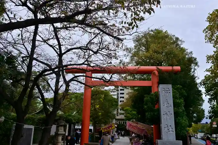 稲毛神社(神奈川県)