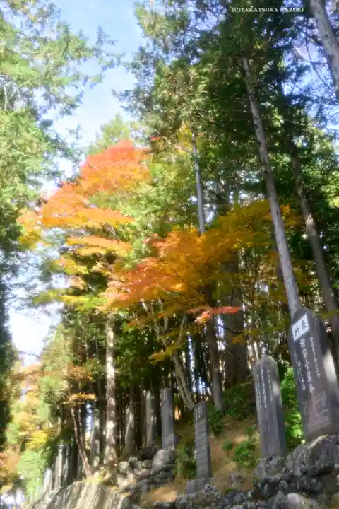 三峯神社(埼玉県)