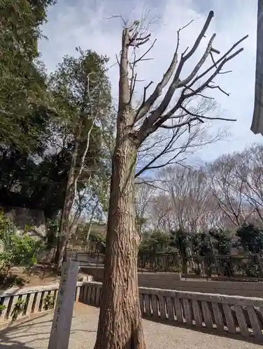 熊野神社(神奈川県)