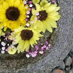 帯廣神社の手水