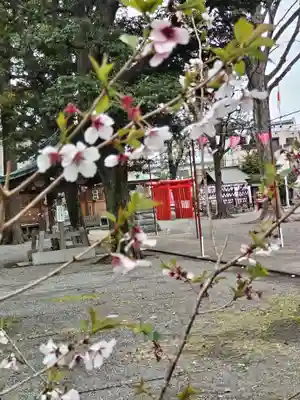 相模原氷川神社(神奈川県)