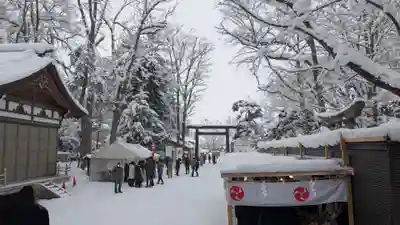 旭川神社の初詣