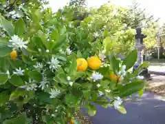 日吉神社(愛知県)