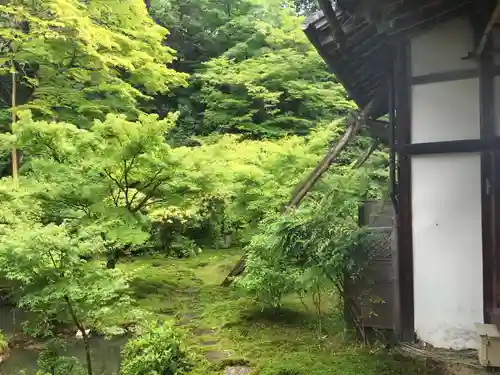 実相院門跡の庭園