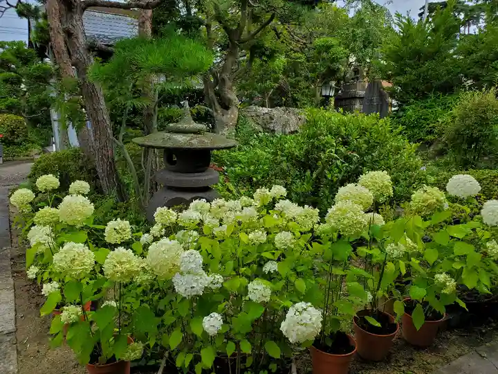 豊景神社の庭園