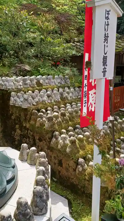 今熊野観音寺(京都府)