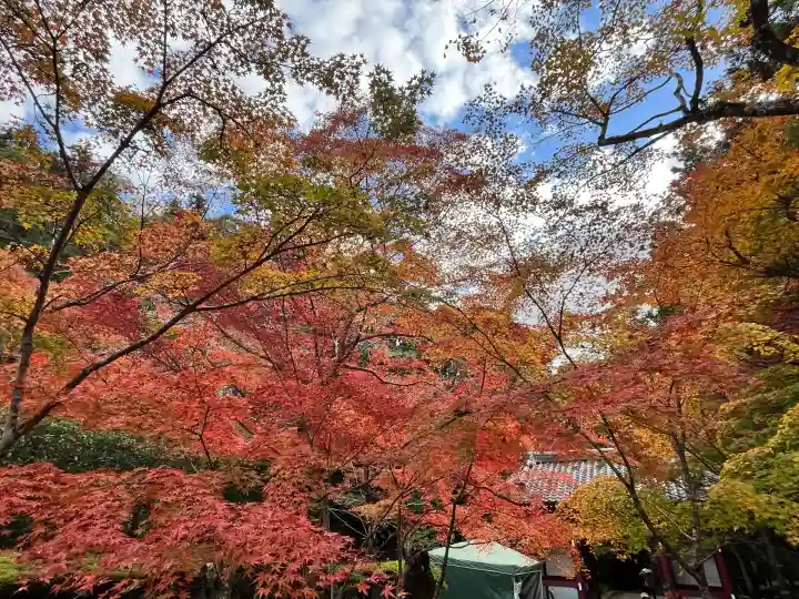 神峯山寺(大阪府)