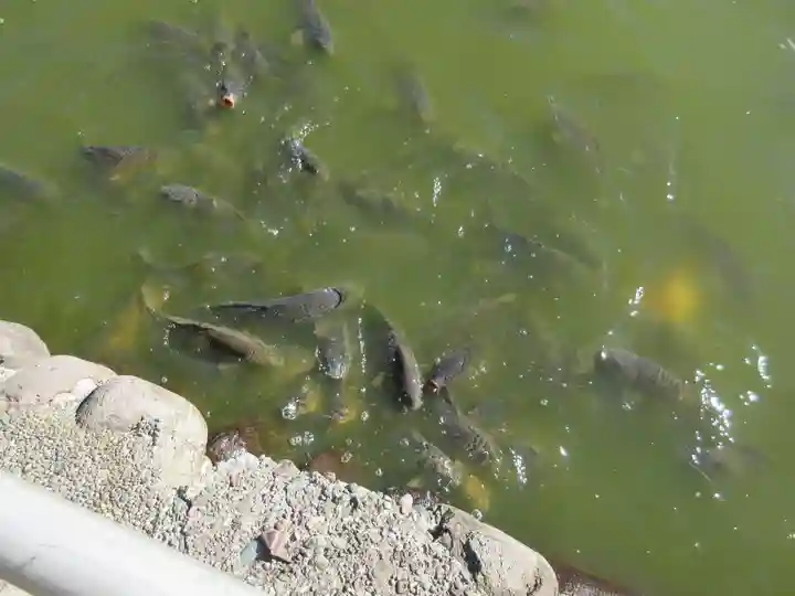 大瀬神社(静岡県)