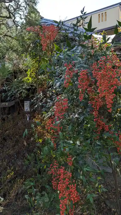 行願寺(革堂)(京都府)