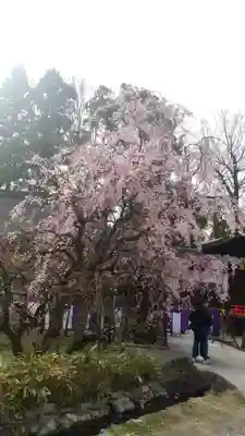 北野天満宮(京都府)