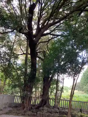 山宮浅間神社(静岡県)