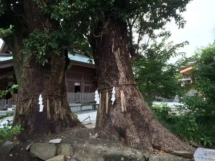 風治八幡宮(福岡県)
