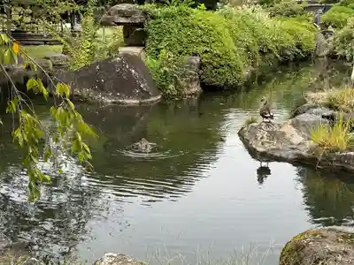 諏訪護国神社(長野県)