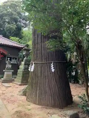 鹿殿神社(千葉県)