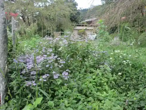 法善寺(埼玉県)