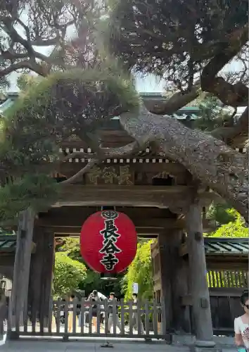 長谷寺の山門・神門