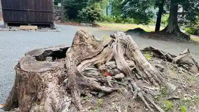 日枝神社(福井県)