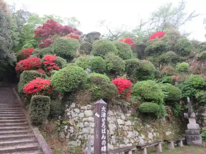 園城寺(三井寺)の庭園