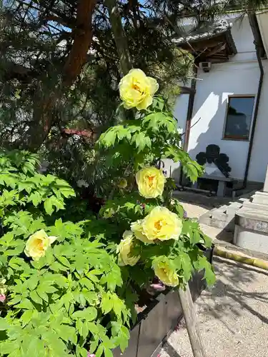 少林寺(埼玉県)