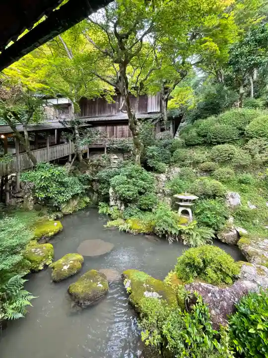 柳谷観音 楊谷寺(京都府)