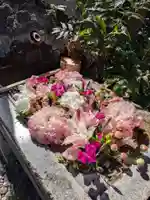 本郷氷川神社(東京都)