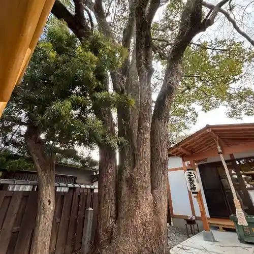 万代寺(大阪府)