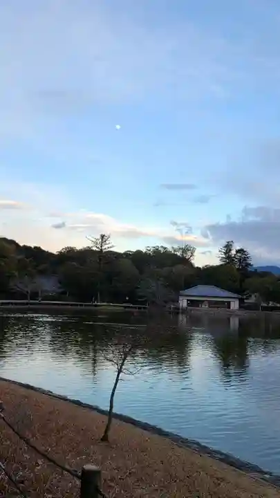 橿原神宮の庭園