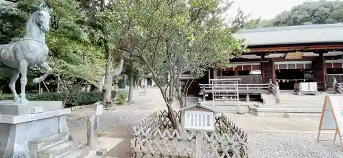 上地八幡宮の庭園