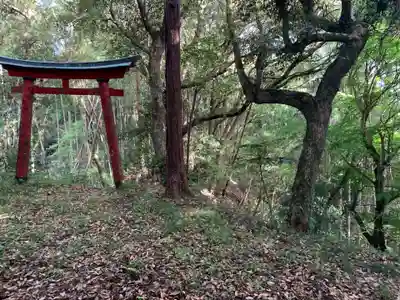 子大権現の鳥居