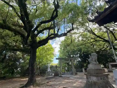 七所神社(愛知県)