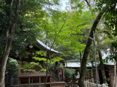 蒲生八幡神社(福岡県)