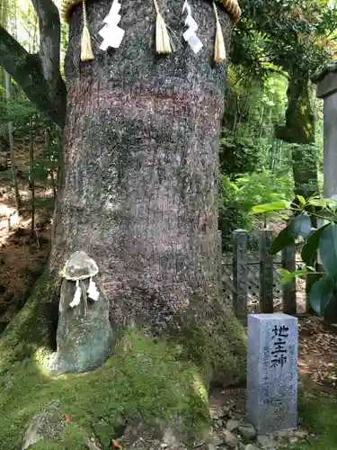 綿都美神社(福岡県)