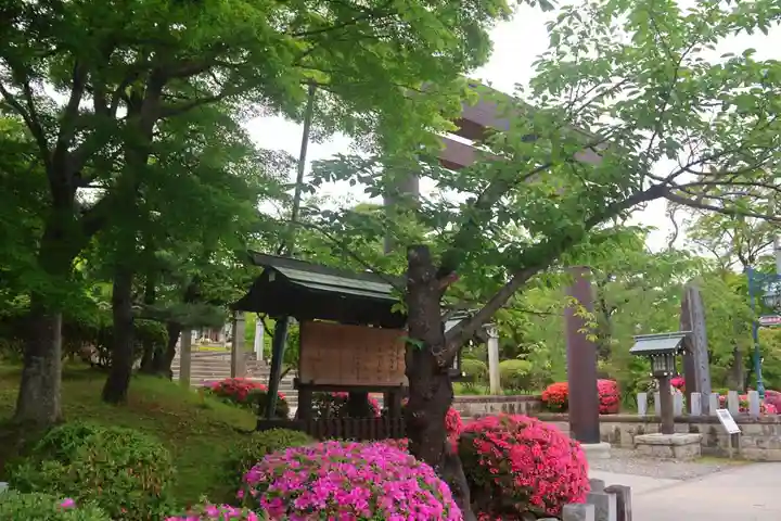 開成山大神宮の鳥居