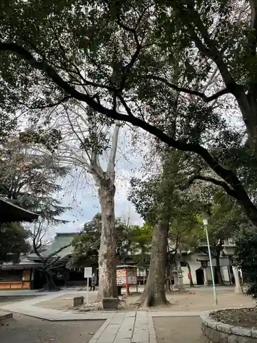 川口神社(埼玉県)