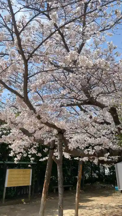 大歳神社の{uncategorized: "未分類", other: "その他", undefined: "問題あり", building: "その他建物", grave: "お墓", sacred_gate: "鳥居", guardian: "狛犬", statue: "像", buddha: "仏像", history: "歴史", nature: "自然", garden: "庭園", animal: "動物", pagoda: "塔", temizu: "手水舎", mountain_gate: "山門・神門", sanctuary: "本殿・本堂", subordinate: "末社・摂社", art: "芸術", scenery: "景色", jizo: "地蔵", ema: "絵馬", goshuin: "御朱印", omikuji: "おみくじ", items: "授与品その他", amulet: "お守り", goshuincho: "御朱印帳", eats: "食事", festival: "お祭り", votive_dance: "神楽", shichigosan: "七五三参", wedding: "結婚式", experience: "体験その他", initially: "初詣", around: "周辺", anti_infection: "感染症対策"}