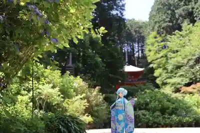 岩船寺(京都府)