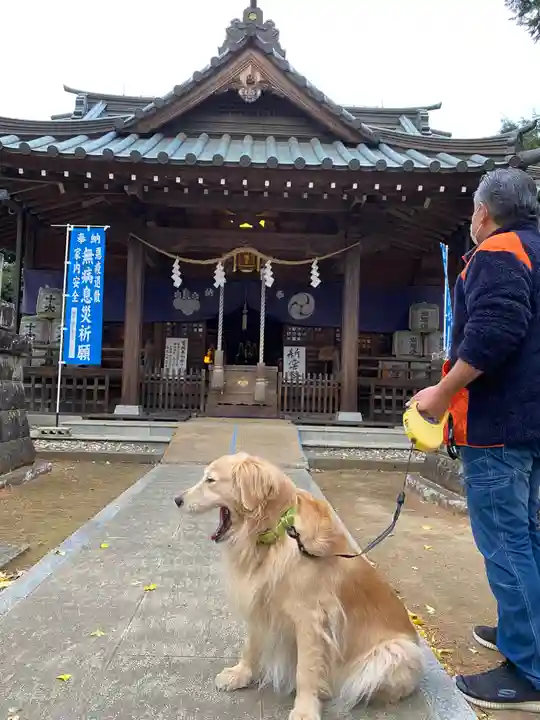 鶴峯八幡宮の動物