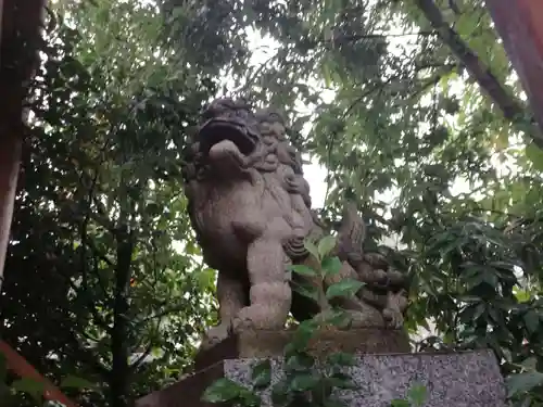池袋御嶽神社の狛犬