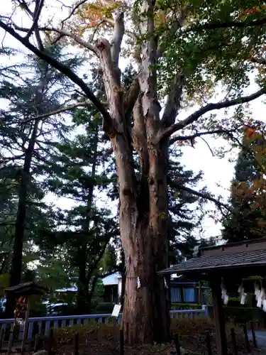 住吉神社の建物その他