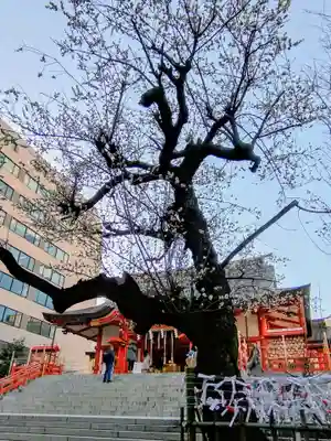 花園神社(東京都)