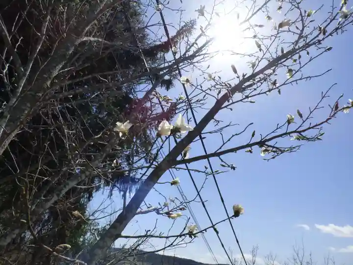 留辺蘂神社の自然