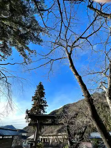 山家神社の鳥居