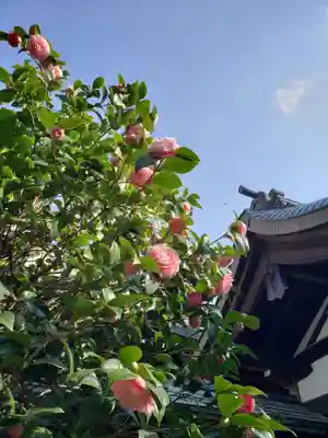 白金氷川神社(東京都)
