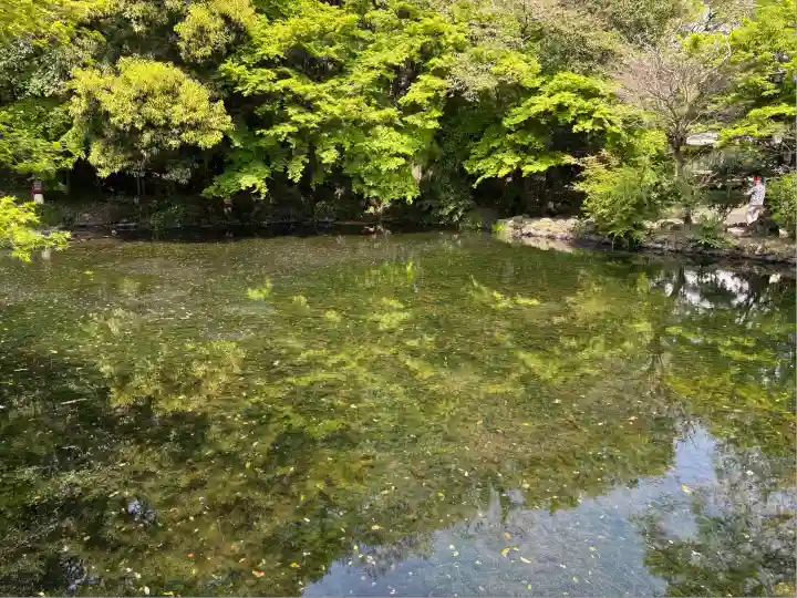 富士山本宮浅間大社(静岡県)